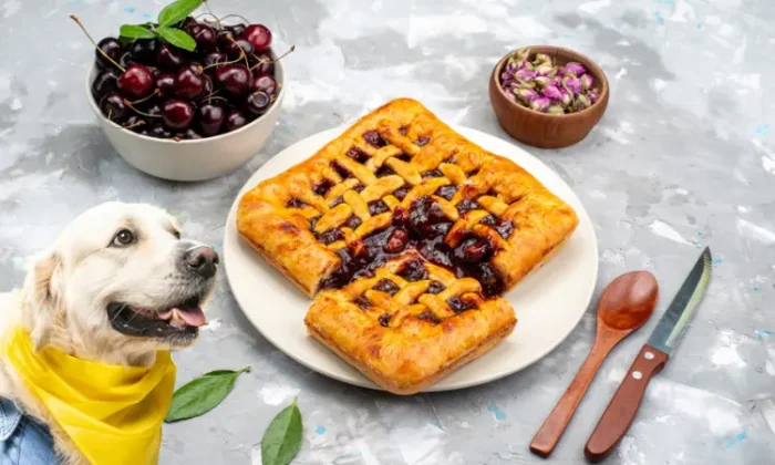 Cherry Pie Safe for Dogs