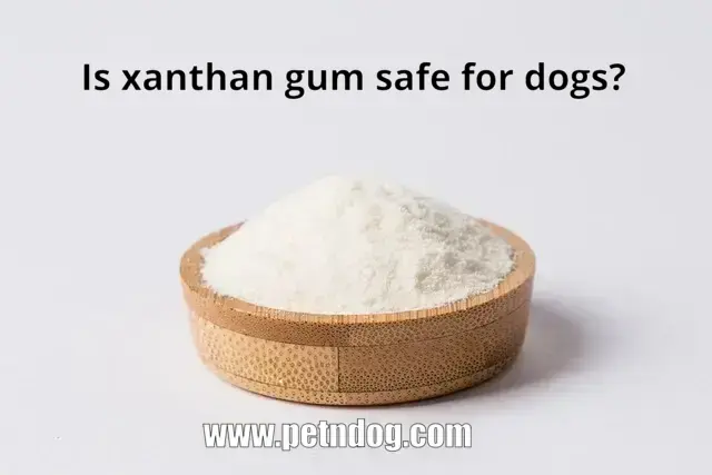 xanthan gum safe for dogs